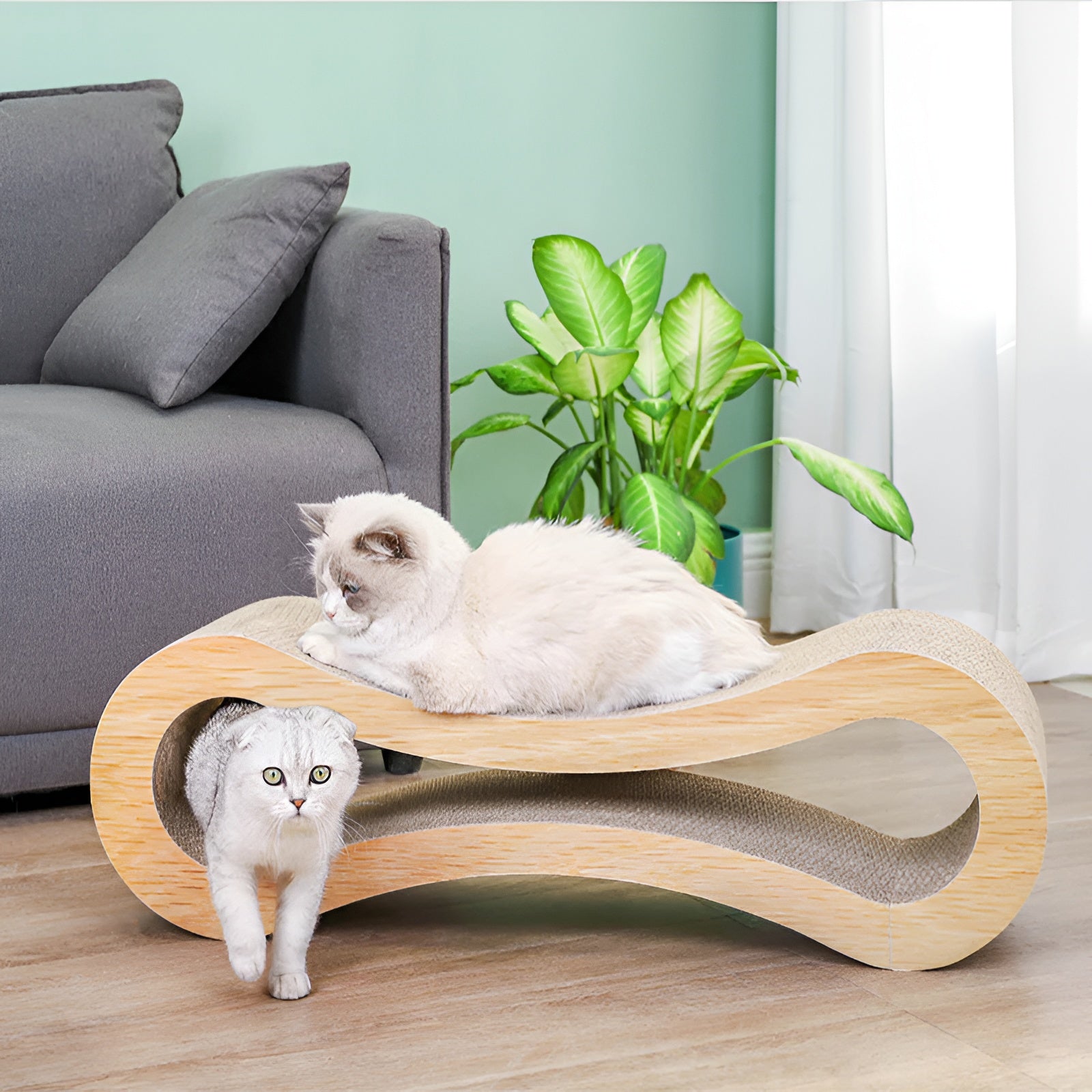 Cat Scratcher Lounge Curved Claw Rest Bed