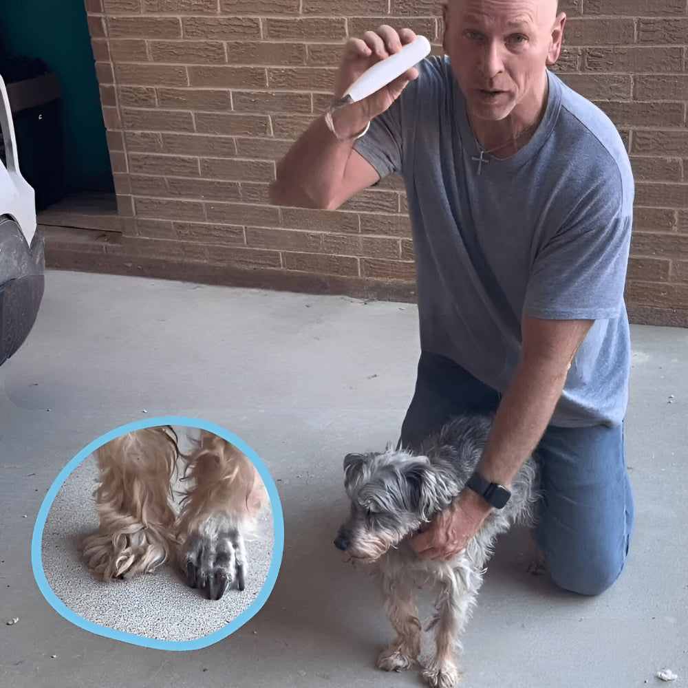 Dog Grooming Paw Trimmer Rechargeable Tool