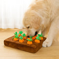 Dog Toy Snuffle Mat Interactive Treat Forage Design