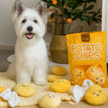 Dog Toy Snuffle Mat Interactive Treat Search Design