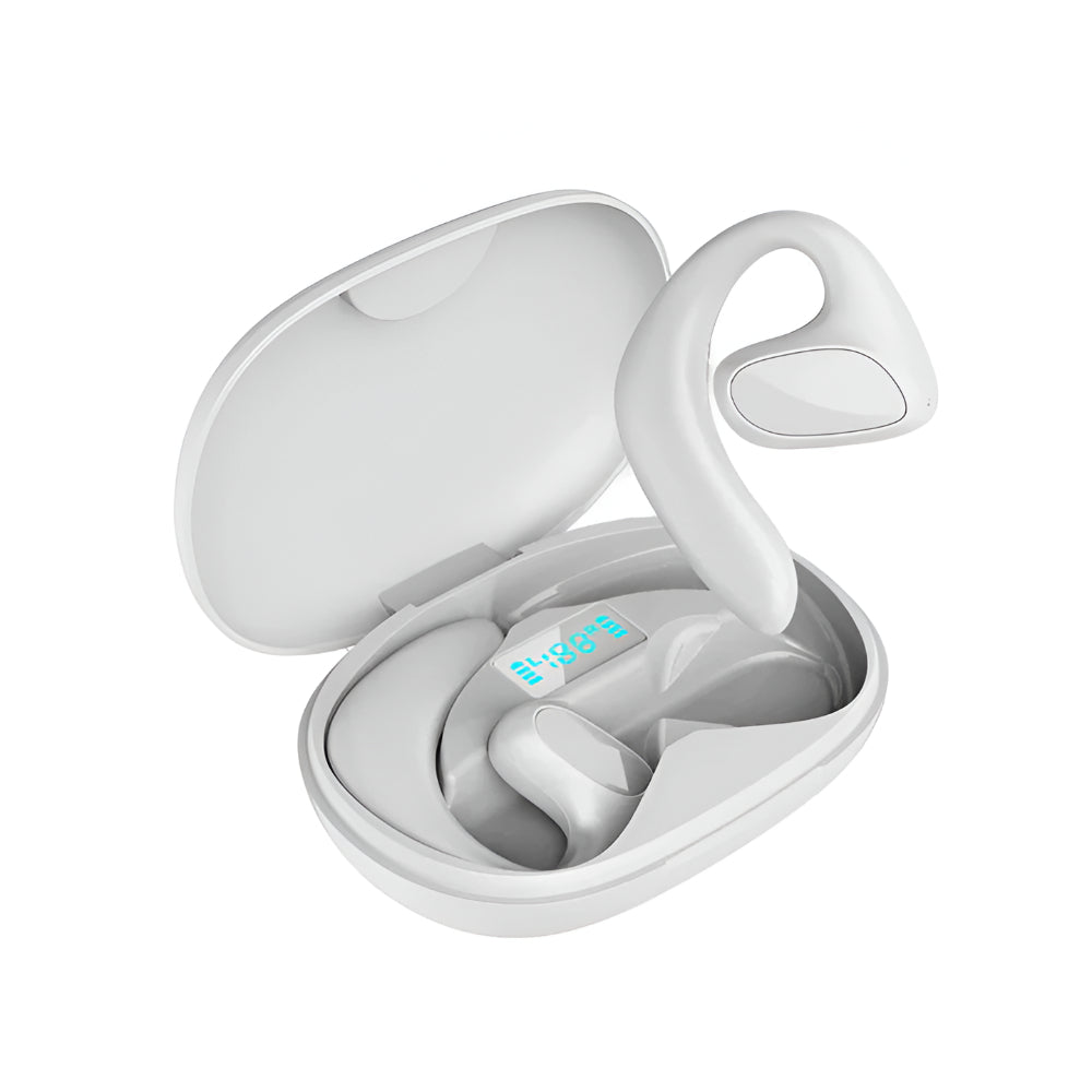 Language Translator Earbuds Bluetooth Real Time Voice Device