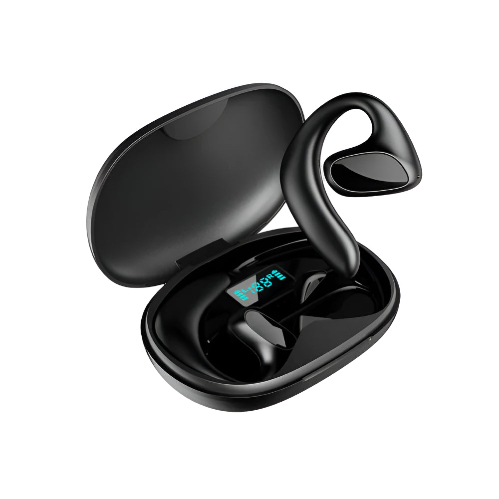 Language Translator Earbuds Bluetooth Real Time Voice Device