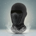 Face Mask Winter Windproof Thermal Full Coverage Cold Weather