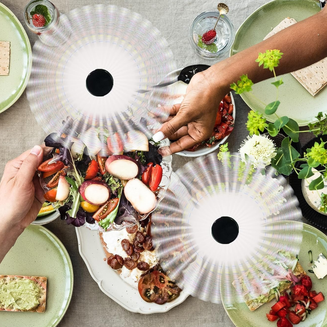 Table Fan Fly Repellent Outdoor Portable Battery Fan