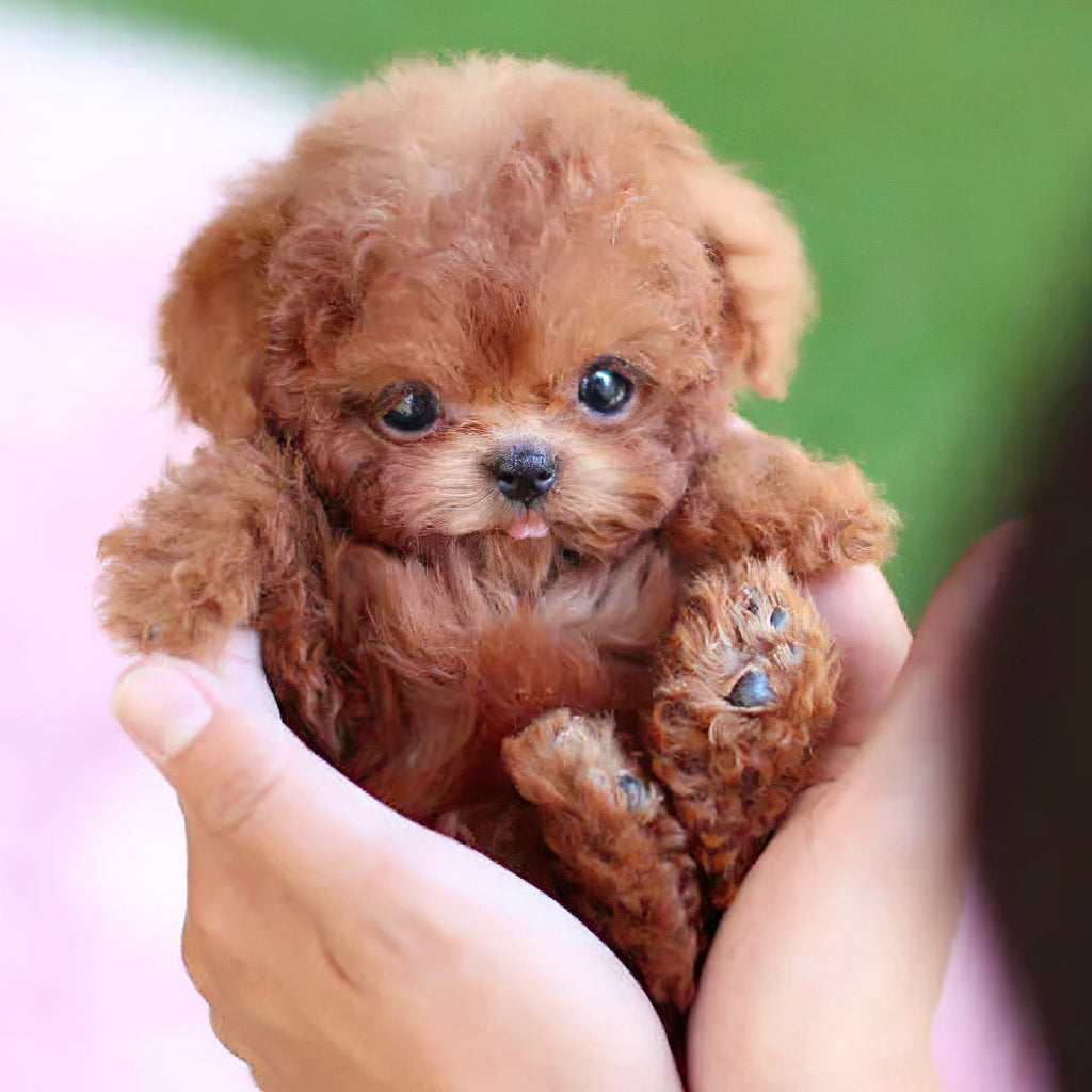 Interactive Dog Toy Robot Dog Toy Plush Puppy Toy Kids Gift