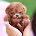 Interactive Dog Toy Robot Dog Toy Plush Puppy Toy Kids Gift