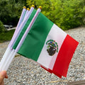 Mexican Mini Flags Handheld Event Set