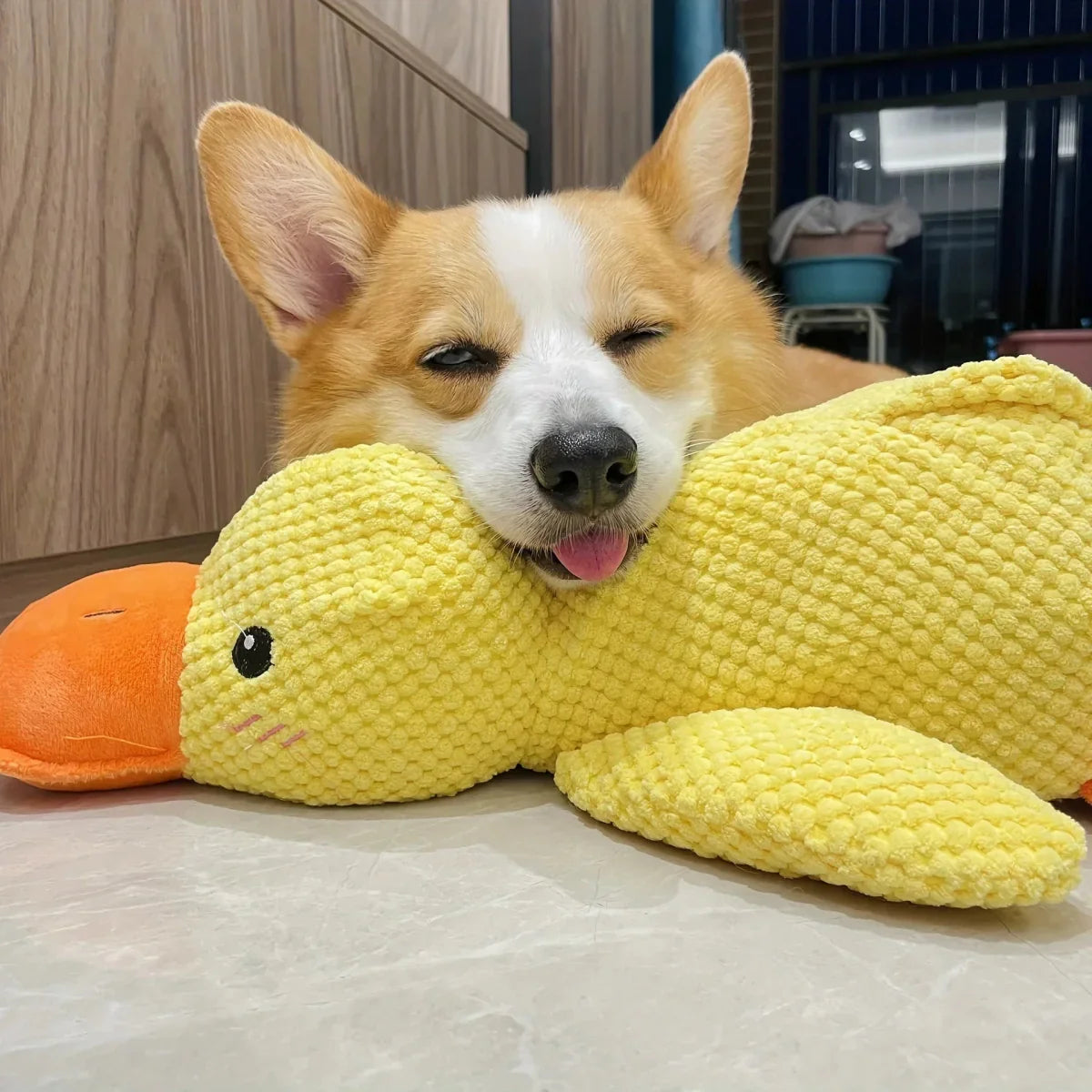 Calming Dog Toy Quacking Sound Chewing Play